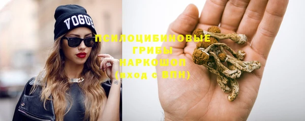 a pvp Богородицк