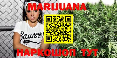 трава Гатчина