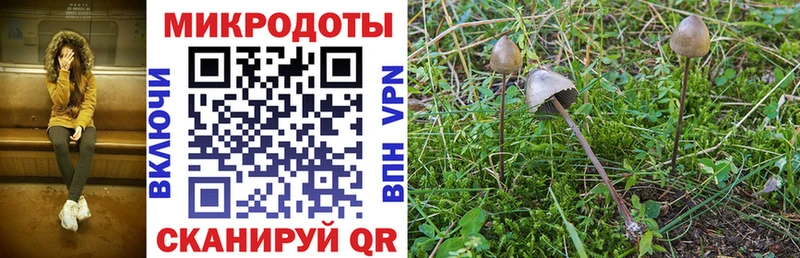 Галлюциногенные грибы Magic Shrooms  Бор 