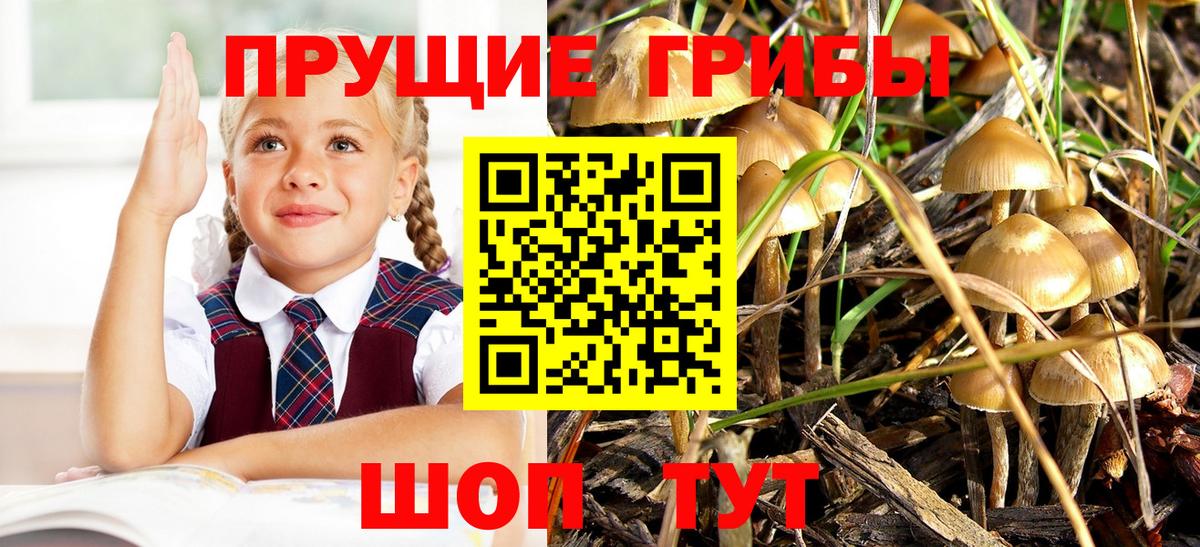 Бор  Галлюциногенные грибы мухоморы  Вход с VPN 