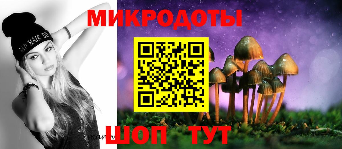 Псилоцибиновые грибы Magic Shrooms  Бор  Псилоцибиновые грибы Cubensis 