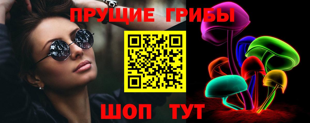 Галлюциногенные грибы Psilocybe Бор